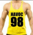 /products/havoc/